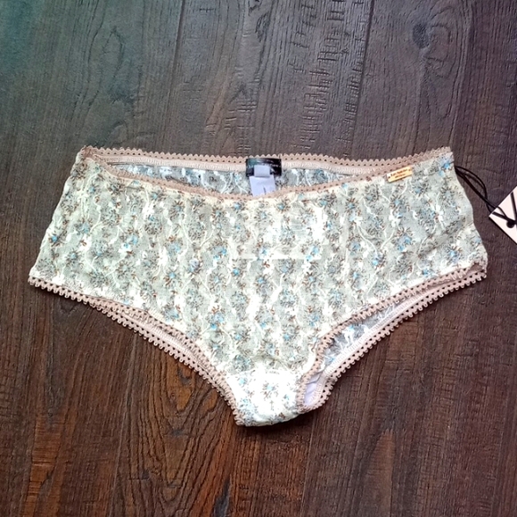 NWT Daydream Nation Wilshire Panty in Floral Mesh Lace Size Medium - Picture 1 of 8
